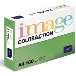 Coloraction A4 80 g Tmavě zelená 100 ks – Zbozi.Blesk.cz