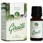 Meta Mix Esenciálnych olejov (levanduľa a borovica) 10 ml – Hledejceny.cz
