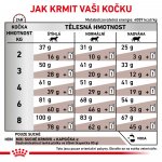 Royal Canin Veterinary Diet Cat Gastrointestinal 0,4 kg – Zboží Dáma