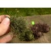 Olověná zátěž a brok Solar Weedeffect 2oz 57g brown