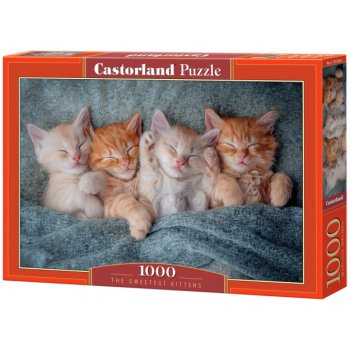 Castorland Nejsladší koťátka 1000 dílků