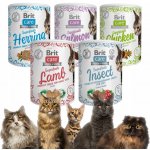 Brit Care Cat Snack Superfruits Salmon 100 g – Zboží Mobilmania