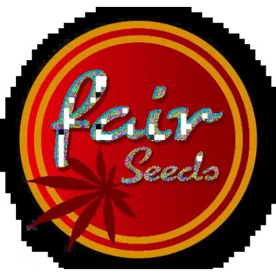 Fair Seeds Auto Amnesia semena neobsahují THC 3ks