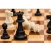 Zážitek Šachová partie s mistrem 1 osoba 120 minut