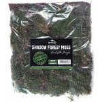 Terrario Shadow Forest Moss 35x30 cm – Zboží Dáma Terrario Shadow Forest Moss 35x30 cm – Zboží Dáma