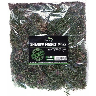 Terrario Shadow Forest Moss 35x30 cm – Zboží Mobilmania