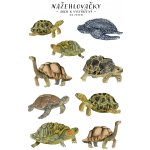 ePiPí Arch nažehlovaček Želvy – Zboží Dáma