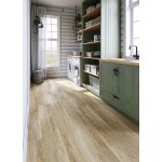 Floor Forever Economy vinyl 4503 5,02 m² – Hledejceny.cz