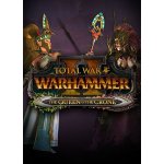 Total War: WARHAMMER 2 - The Queen and The Crone – Zbozi.Blesk.cz