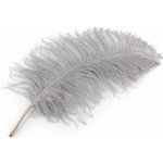 Prima-obchod Pštrosí peří délka 50-55 cm, barva 3 šedá světlá – Hledejceny.cz