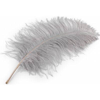 Prima-obchod Pštrosí peří délka 50-55 cm, barva 3 šedá světlá – Hledejceny.cz