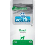 Vet Life Cat Renal 0,4 kg – Hledejceny.cz