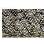 Splashbaits Zimní PVA Punčocha 5 m 35-42 mm – Zboží Mobilmania