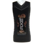 Axe Dark Temptation sprchový gel 400 ml – Zboží Dáma