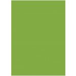 HEYDA Hedvábný papír 50 x 70 cm světle zelený 5 ks – Zboží Dáma