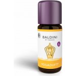 Taoasis Vonná směs Jóga, Baldini 10 ml – Hledejceny.cz