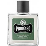 Proraso Eukalyptus balzám na vousy 100 ml – Zboží Dáma