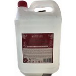 Laura Collini antibakteriální tekuté mýdlo Goji & Pomegranate 5 l – Hledejceny.cz