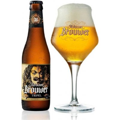 Roman Adriaen Tripel 19 9% 0,33 l (sklo) – Hledejceny.cz