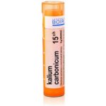 KALIUM CARBONICUM POR 15CH GRA 1X4G – Hledejceny.cz