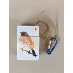 Ptáci - Kapesní atlas | Lucie Raškovová, texty Jaroslav Cepák – Sleviste.cz