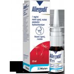 ALLERGODIL NAS 1MG/ML NAS SPR SOL 1X10ML – Zboží Dáma