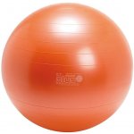 Gymnic classic Plus 65 cm – Zboží Mobilmania