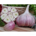 Česnek sadbový Harnaš 2 - 4 ks, paličák – Hledejceny.cz