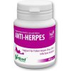 Vitamíny pro psa Vetfood Anti-Herpes 60 g