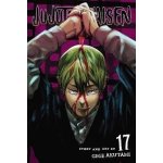 Jujutsu Kaisen 17 - Gege Akutami – Sleviste.cz