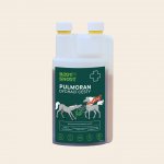 Root & Snoot Pulmoran dýchací cesty pro koně sirup 1000 ml – Hledejceny.cz