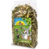 Krmivo pro hlodavce JR Farm Ostropestřec Činčila 80 g