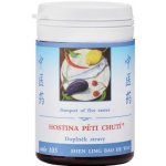 TCM Herbs Hostina pěti chutí 100 tablet – Hledejceny.cz