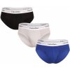 Boxerky, trenky, slipy Calvin Klein vícebarevné 3 Pack pánské slipy (NB2379A-GW4)