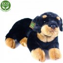 Pes Rottweiler ležící 38 cm