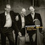 Brahms/Krenek - Piano Trios CD – Hledejceny.cz