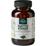 Unimedica Nattokináza 2000 FU 120 kapslí – Hledejceny.cz