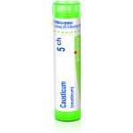 CAUSTICUM POR 5CH GRA 1X4G – Hledejceny.cz
