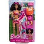 Barbie SURFAŘKA S DOPLŇKY – Zboží Mobilmania