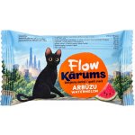 Sladký tvaroh v cokoláde s melounem 45g KARUMS – Hledejceny.cz