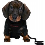 Trixie postroj vestička s vodítkem – Sleviste.cz