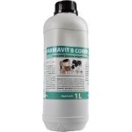 Farmavit B-komplex tekutý 1 l – Zboží Dáma