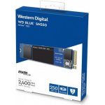 WD Blue SN550 250GB, WDS250G2B0C – Hledejceny.cz