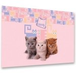 Karton P+P podložka na stůl Mazlíčci 5-86421 – Sleviste.cz