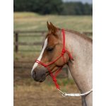 BUSSE Provazová ohlávka Smooth II červená – Zboží Dáma