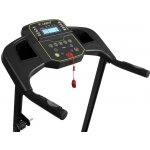 Lifefit TM3100 – Zboží Dáma