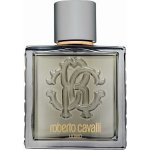 Roberto Cavalli Uomo Silver Essence toaletní voda pánská 100 ml – Hledejceny.cz