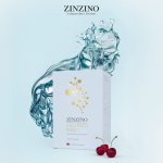 Zinzino Collagen Boozt 10 x 46 ml – Hledejceny.cz