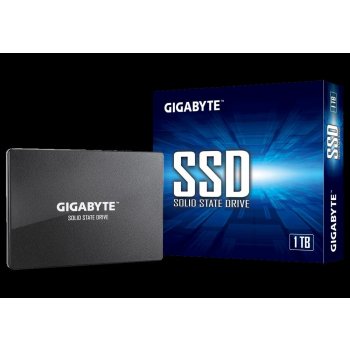 Gigabyte 1TB, GP-GSTFS31100TNTD