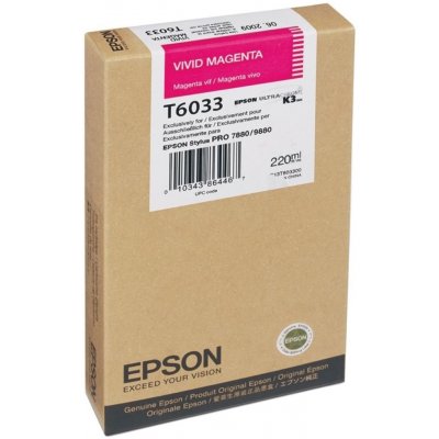 Epson C13T603300 - originální – Hledejceny.cz